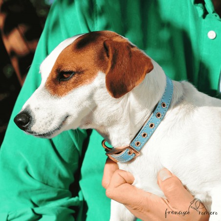 Collar doble piel de vaquetilla con herrajes de latón personalizado