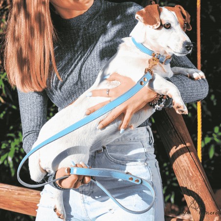 Correa para perros piel vaquetilla herrajes de latón