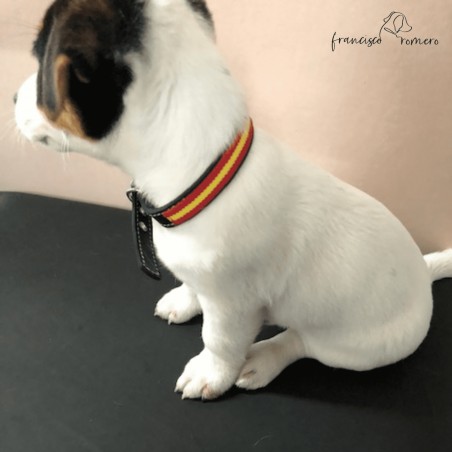 Collar de piel de vaquetilla con bandera de España Personalizado