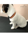 Collar piel vaquetilla con bandera España Personalizado para perro