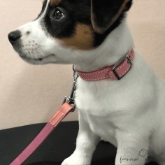 Collar de piel para perro... 2