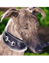 Collar para Galgo Estribo Plata