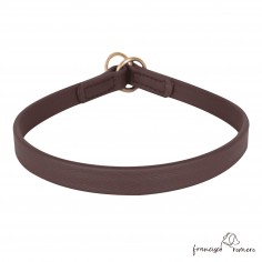 Collar adiestramiento...