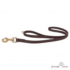 Correa paseo con anilla en...