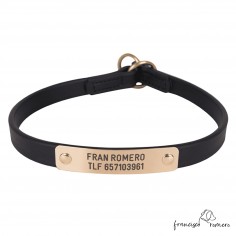 Collar adiestramiento...