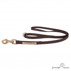 Correa paseo con anilla en...