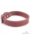 Collar Piel Funda Antiparasitaria Hebilla Rulo Burdeos 3