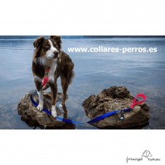 Correa paseo perro Faxion... 2