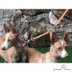 Collar Nylon España ancho... 2