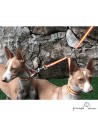 Collar Nylon España ancho 1,5 cm para perros