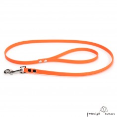 Correa paseo Biothane Beta...