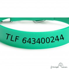 Collar Biothane Gold 2,5...