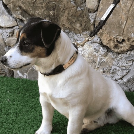 Collar Piel Doble Trenzado 1,3 cm Latón Personalizado