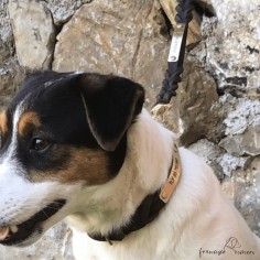 Collar Piel Doble Trenzado... 2