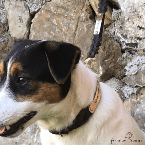 Collar Piel Doble Trenzado 1,3 cm...