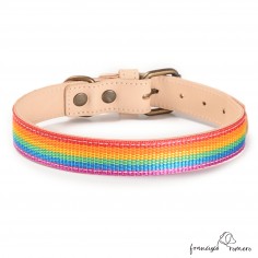 Collar Piel Arco Iris... 2