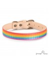 Collar Piel Arco Iris Natural para perros