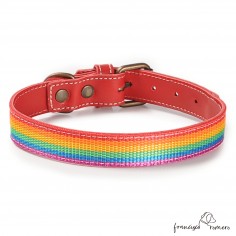 Collar Piel Arco Iris Rojo... 2