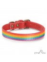 Collar Piel Arco Iris Rojo para perros
