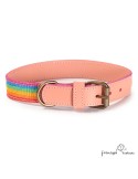 Collar Piel Arco Iris Rosa para perros