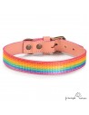 Collar Piel Arco Iris Rosa para perros