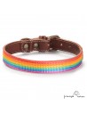 Collar Piel Arco Iris Chocolate para perros