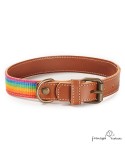 Collar Piel Arco Iris Caramelo para perros
