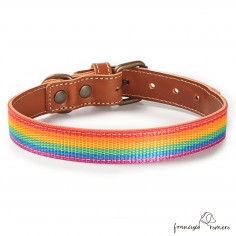 Collar Piel Arco Iris... 2
