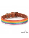 Collar Piel Arco Iris Caramelo para perros