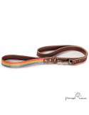 Correa Piel Arco Iris Chocolate para perros