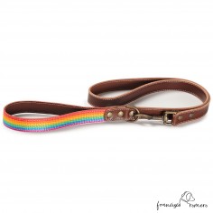 Correa Piel Arco Iris...