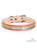 Collar Piel Arco Iris Natural para perros Personalizado