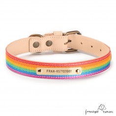 Collar Piel Arco Iris...