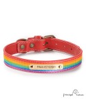 Collar Piel Arco Iris Rojo para perros Personalizado