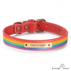 Collar Piel Arco Iris Rojo...
