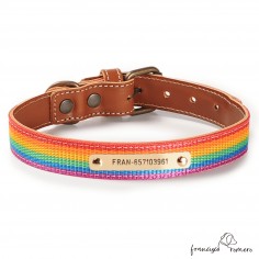 Collar Piel Arco Iris...