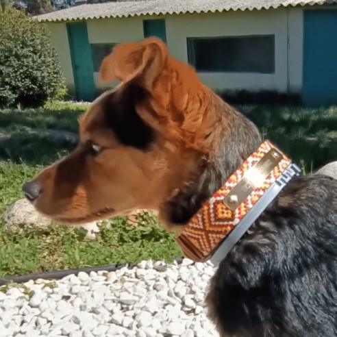 Collar para perro Piel Mosaico...