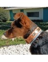 Collar para perro Piel Mosaico Africano Personalizado