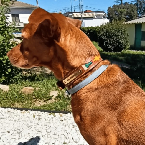 Collar para perro Piel Bordado...