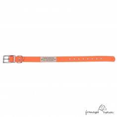 Collar Biothane Beta ancho...