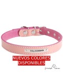 Collar de piel de vaquetilla personalizado para perro