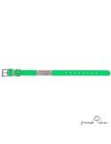 Collar Biothane Beta 2,5 cm Personalizado Verde para perro