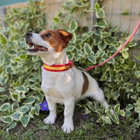 Collar Piel Bandera España para perros