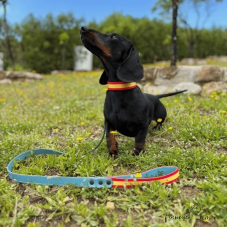 Collar Piel Bandera España para perros