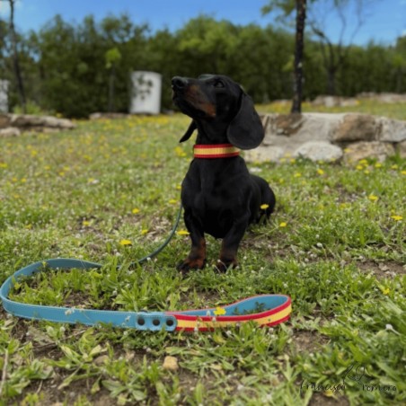 Collar Piel Bandera España para perros Personalizado