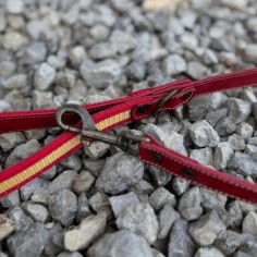 Correa Piel Bandera España... 2