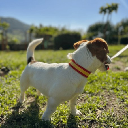 Collar Piel Bandera España Caramelo para perros