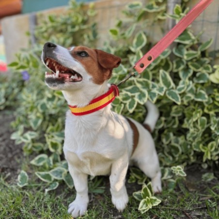Collar Piel Bandera España Caramelo para perros