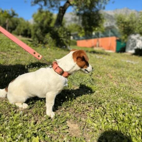 Collar Piel Bandera España Natural para perros