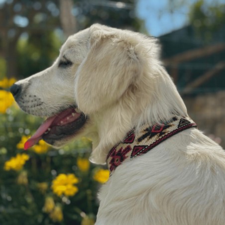 Collar para perro Piel Estrella Rojo